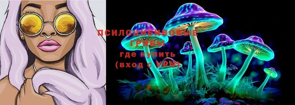 mdpv Вяземский