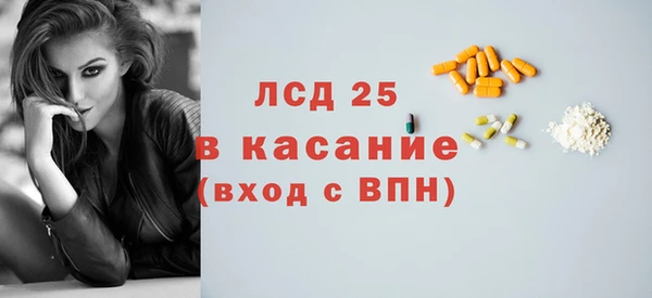 шишки Тында