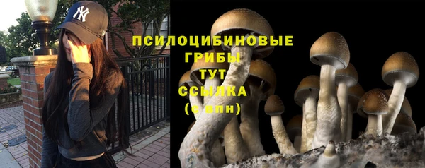 mdpv Вяземский