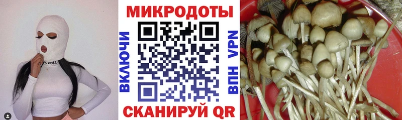 Псилоцибиновые грибы прущие грибы  где купить наркоту  Гусь-Хрустальный 